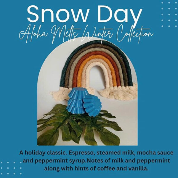 Snow Day